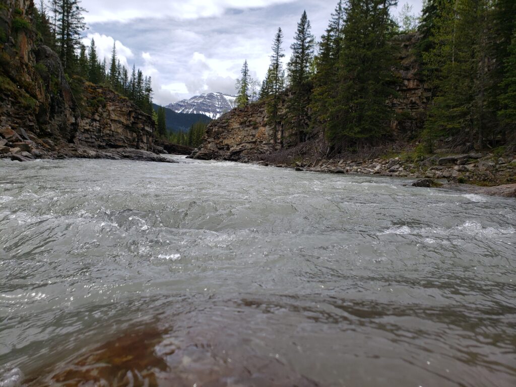 The beauty of mindful flow captured in nature!